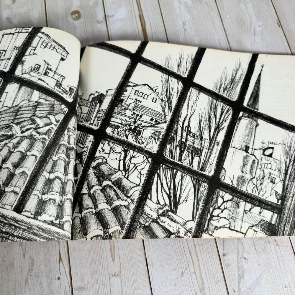 Drawing on Istanbul Trici Venola 2008 First Edition Art Sketch Travel